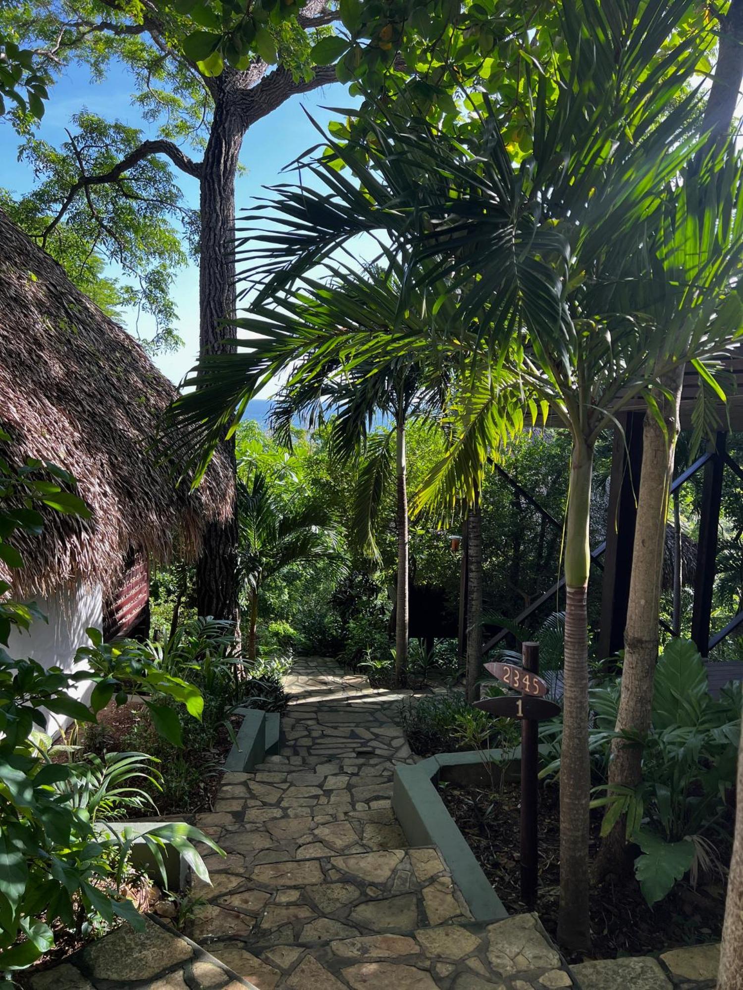 Hotel Buena Vista Surf Club à El Plantel Extérieur photo