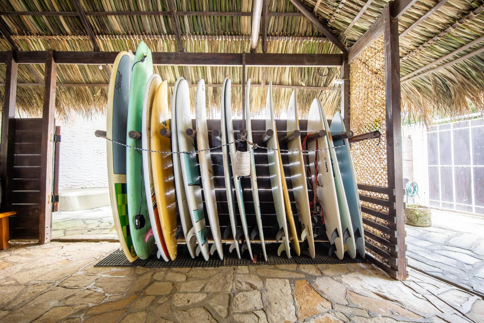 Hotel Buena Vista Surf Club à El Plantel Extérieur photo